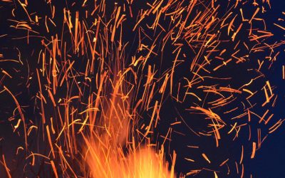 What to expect at the knife show